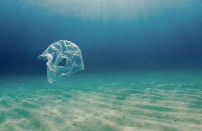 Meet Anna, the 11-year-old Activist Saving the Ocean!